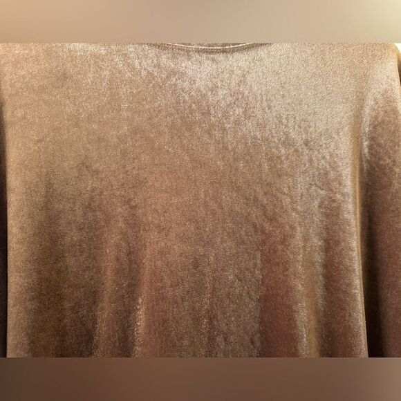 NWOT Zara Collection Brown Velvet Straight Dress - Picture 4 of 8